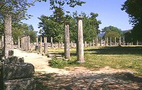 Pal�stra - Olympia