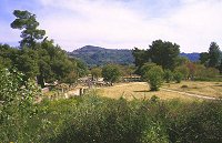 Pal�stra - Olympia