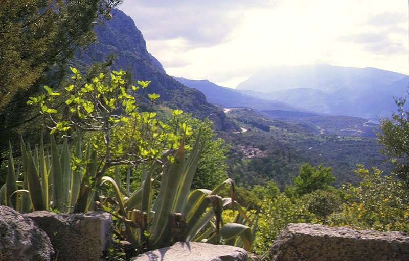 Parnaß-Gebirge von Delphi aus